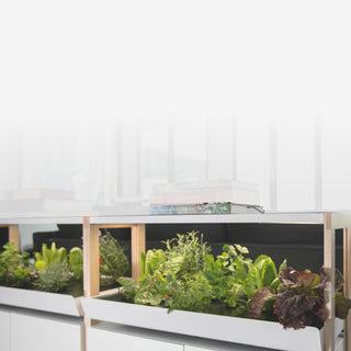 The first thing people ask us when they see a Rise Garden are... - Rise Gardens US