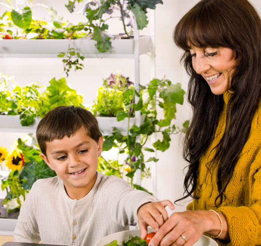 New Year, New Garden: Tips for a 2025 Garden Refresh - Lifestyle,Wellness | Rise Gardens