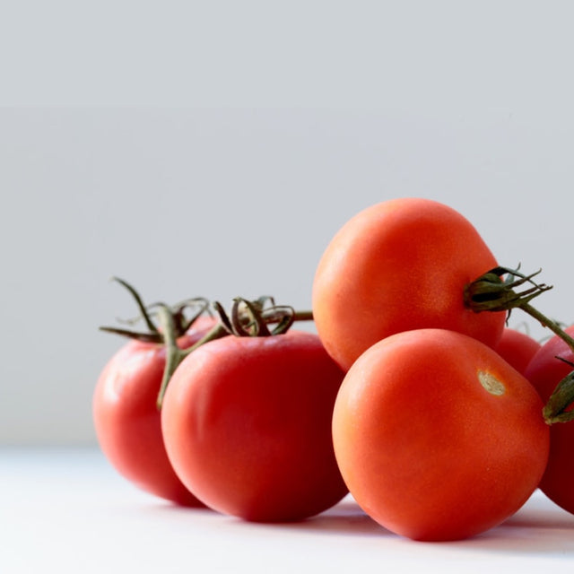 Tomatoes! Tomatoes! Tomatoes! - Rise Gardens US