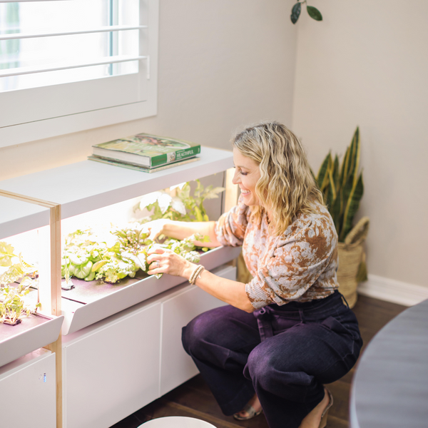 Stress and Regulating the Nervous System Response - Wellness | Rise Gardens