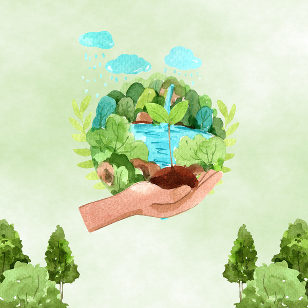 5 Ways We are Reducing Plastic at Rise Gardens - Sustainability | Rise Gardens