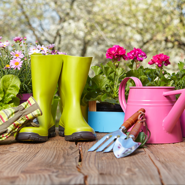 7 Reasons Why You Should Start Your Outdoor Garden Indoors - Gardening Tips | Rise Gardens