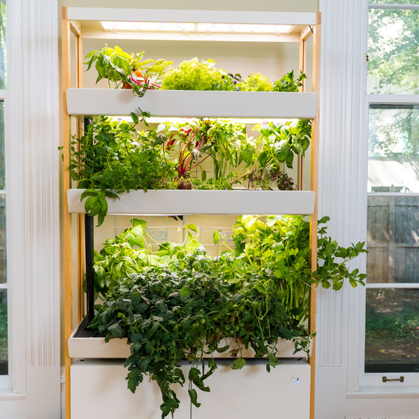 Everything you need to know about the DC40 pump - Gardening Tips | Rise Gardens