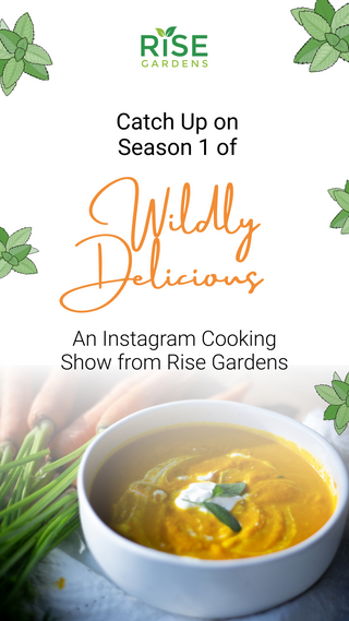 Catch Up on Wildly Delicious Season 1