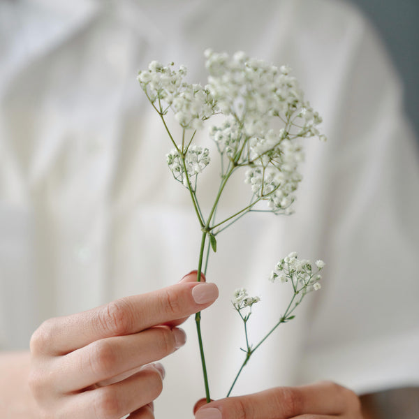 Flower Facts about Yellow Poppies and Baby's Breath - Lifestyle | Rise Gardens
