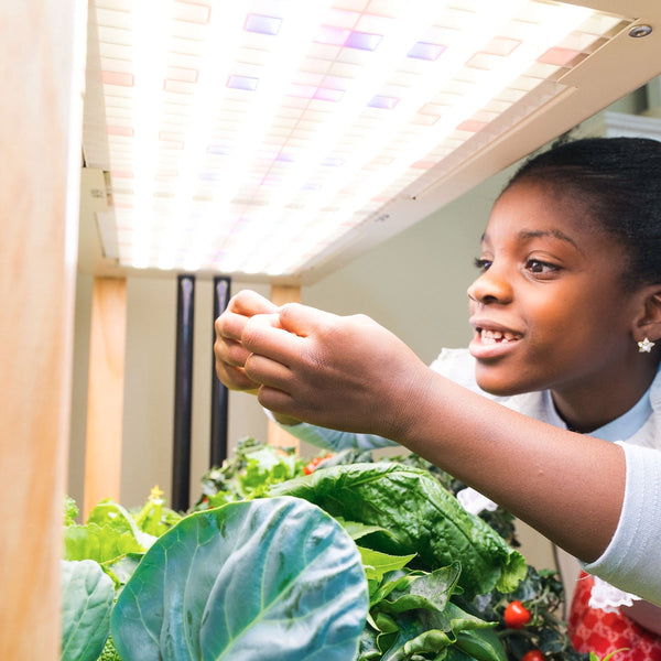 Back to School with Rise - Educational Activities,Lifestyle | Rise Gardens