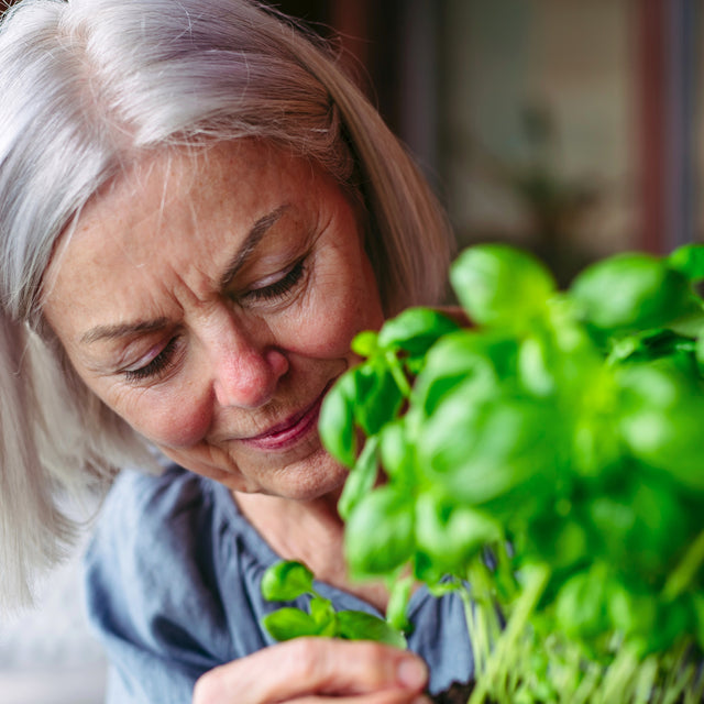 The Health Benefits of Gardening for Seniors