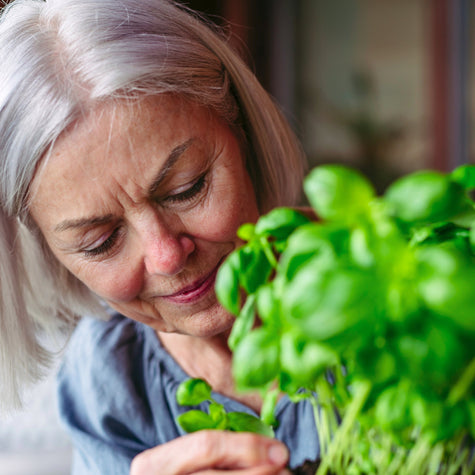 The Health Benefits of Gardening for Seniors - Lifestyle,Wellness | Rise Gardens