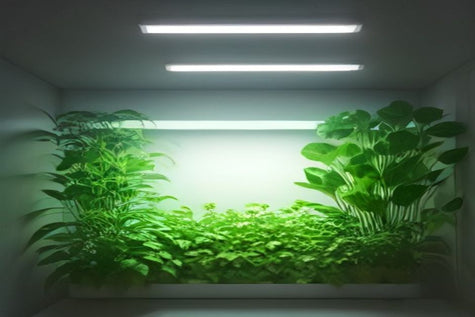 Best Grow Light Spectrum for Indoor Vegetables (What Actually Works)