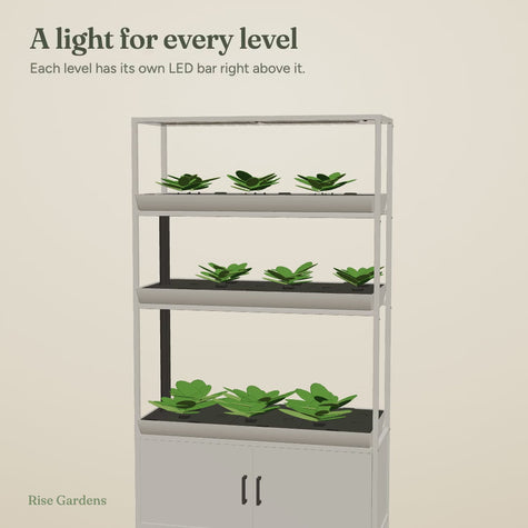Rise Garden 3 Care: Every Step, Animated