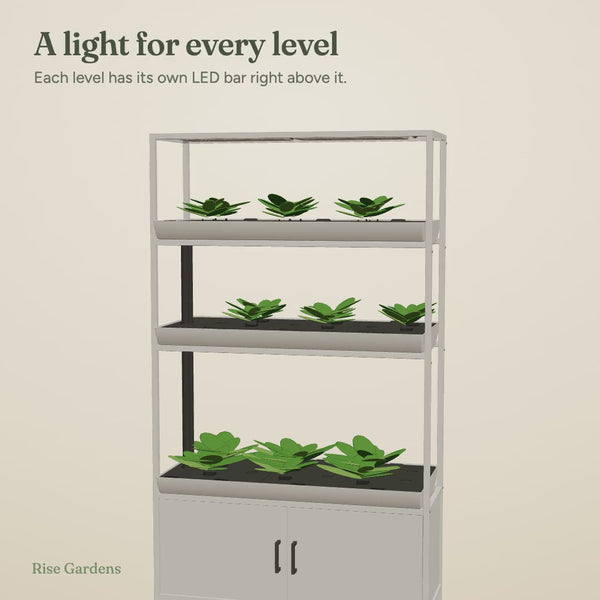 Rise Garden 3 Care: Every Step, Animated