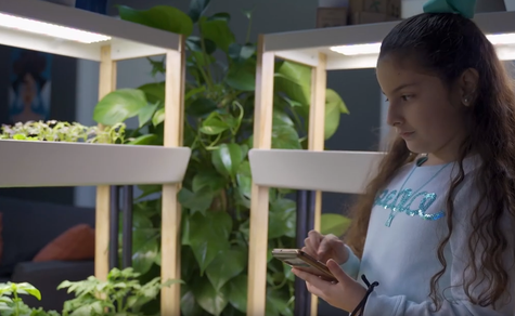 Girl checking indoor garden