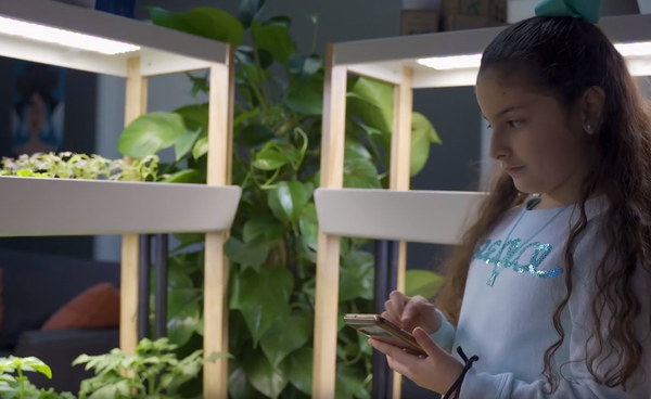 Girl checking indoor garden