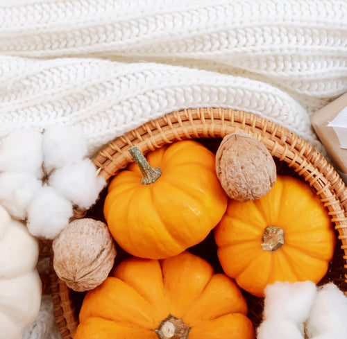 5 Ways to Decorate Your Space with Mini Pumpkins from Rise Gardens