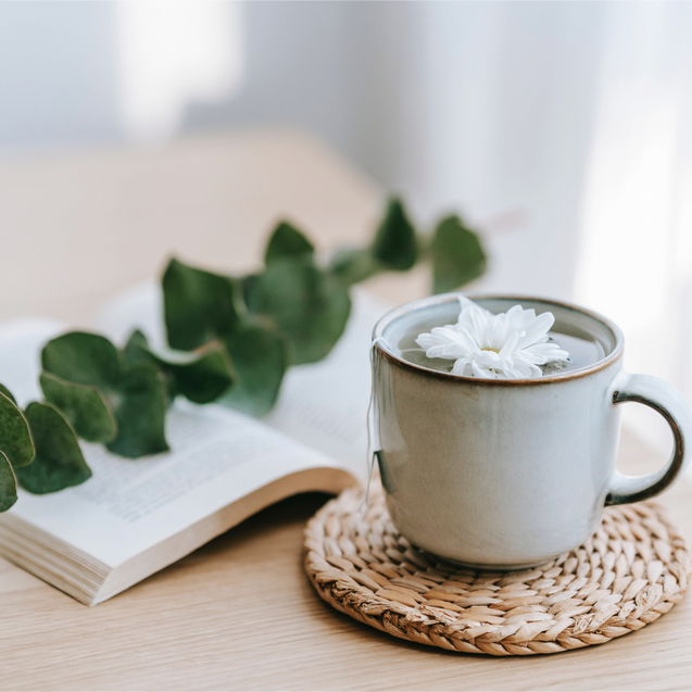 Make Your Own Eucalyptus Herbal Tea: Embrace Winter Wellness