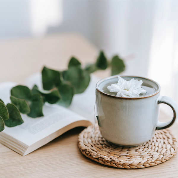 Make Your Own Eucalyptus Herbal Tea: Embrace Winter Wellness - Lifestyle,Recipes | Rise Gardens
