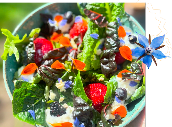 Colorful salad with berries, edible flowers
