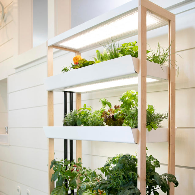 An Indoor Garden That Fits Anywhere in Your Home