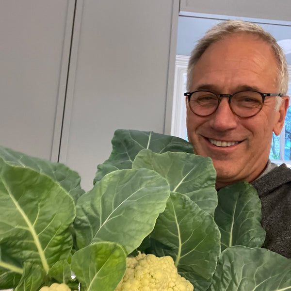 From our CEO: Reflections on 2023 - General,Lifestyle | Rise Gardens
