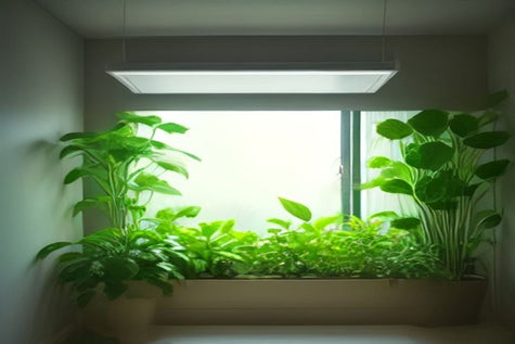 How Much Money Can You Save Growing Your Own Vegetables Indoors