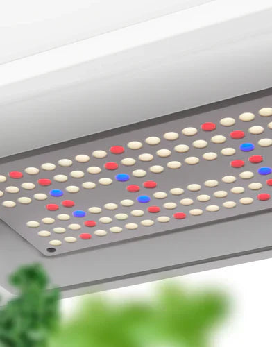 Full Spectrum Grow Lights: Comprehensive Light for All Stages - Hydroponics | Rise Gardens