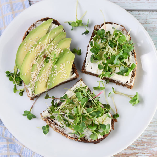 Avocado and microgreen toast