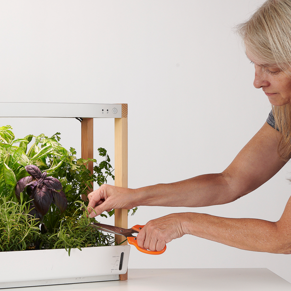 Grow with Us: Meet Nancy - Lifestyle | Rise Gardens