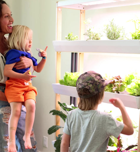 New Year, New Growth - Lifestyle,Wellness | Rise Gardens
