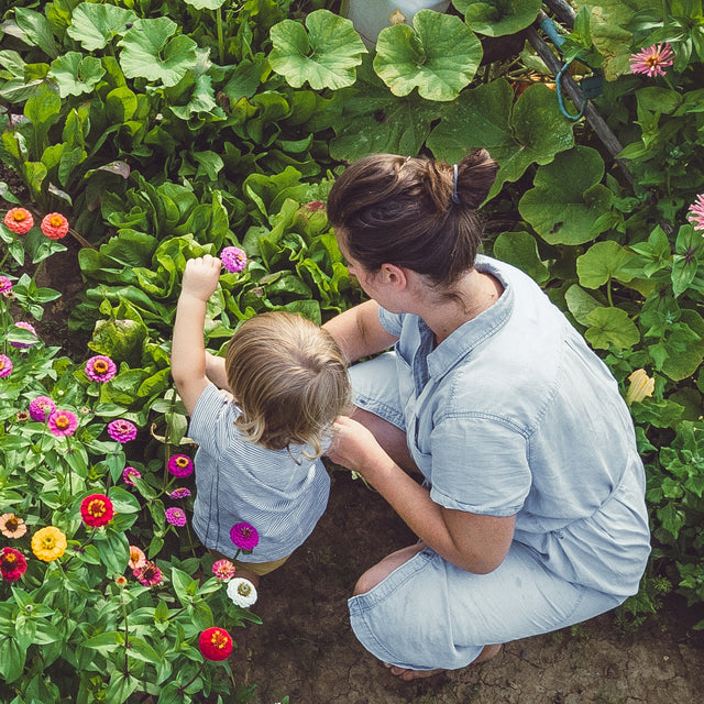 How to Create a Beautiful Outdoor Garden Without Wasting Water