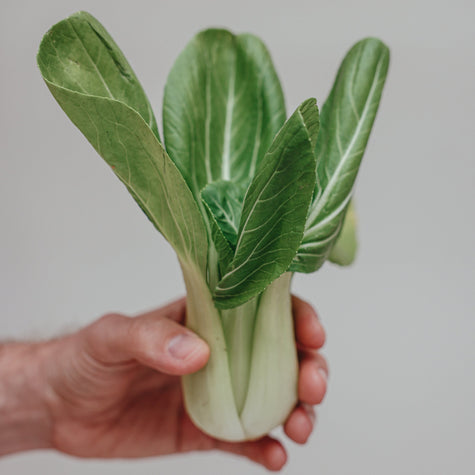 Pak Choi: The Green Marvel in Your Rise Garden - Gardening Tips,Lifestyle | Rise Gardens
