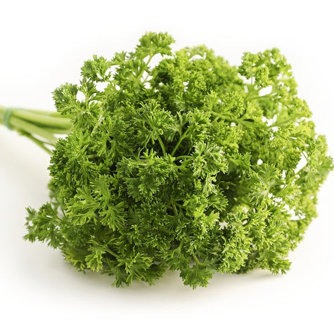 All About Darki Parsley