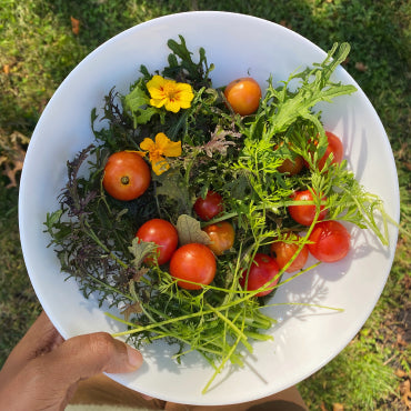 The Power of Rise Garden Hydroponic Produce