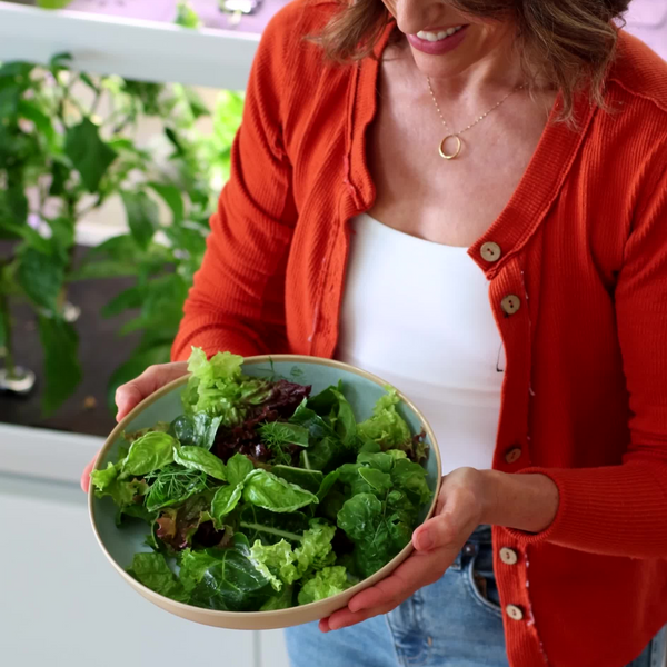 Explore Our Summer Salads Cookbook! - Recipes | Rise Gardens