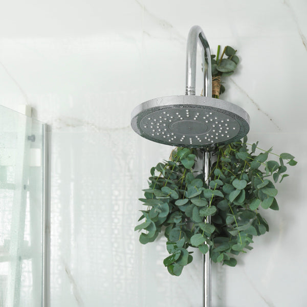 Find Your Zen With an Eucalyptus Shower Bundle - Lifestyle | Rise Gardens