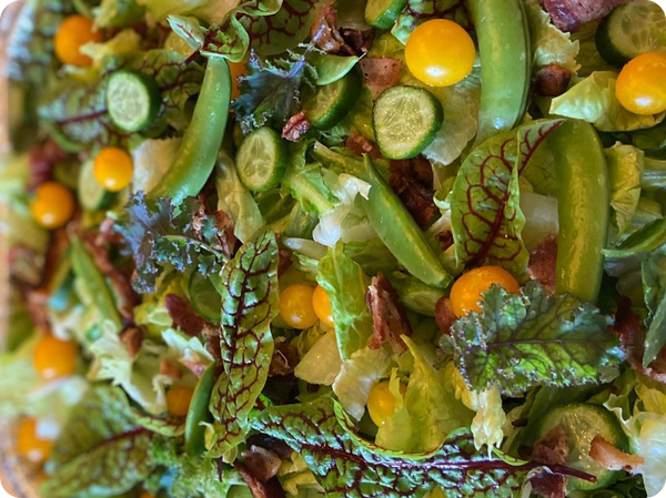 Close-up fresh vibrant garden salad