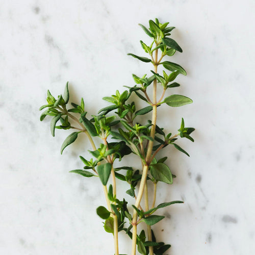 It’s Time to Learn About Thyme