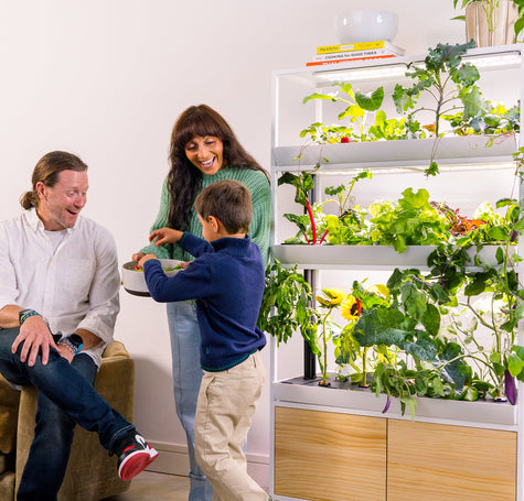 Family harvesting from indoor garden