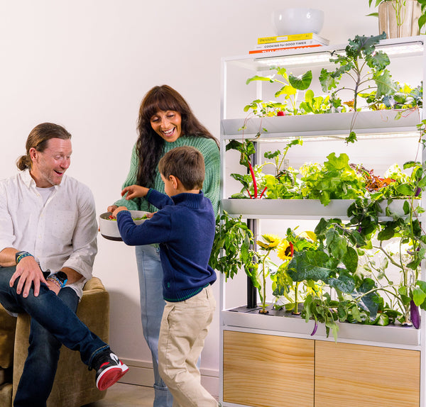 Family harvesting from indoor garden