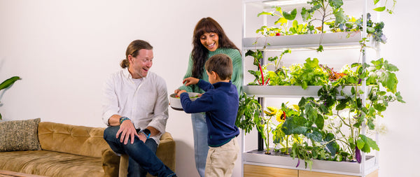 Family harvesting from indoor garden