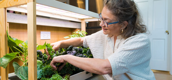 Woman tending indoor garden plants