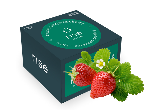 melvor idle strawberry seeds Everbearing Strawberry
