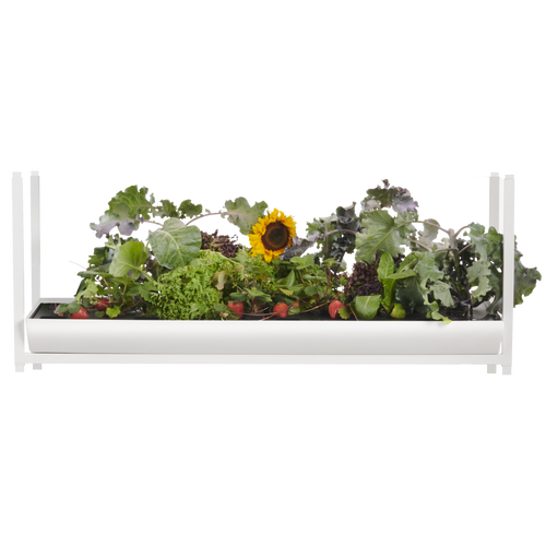The Rise garden 3 extension for modular hydroponic system