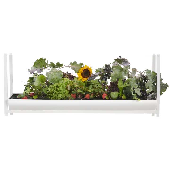 The Rise garden 3 extension for modular hydroponic system