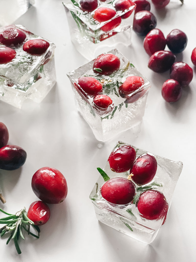 Holiday Infused Ice Cubes » Homemade Heather