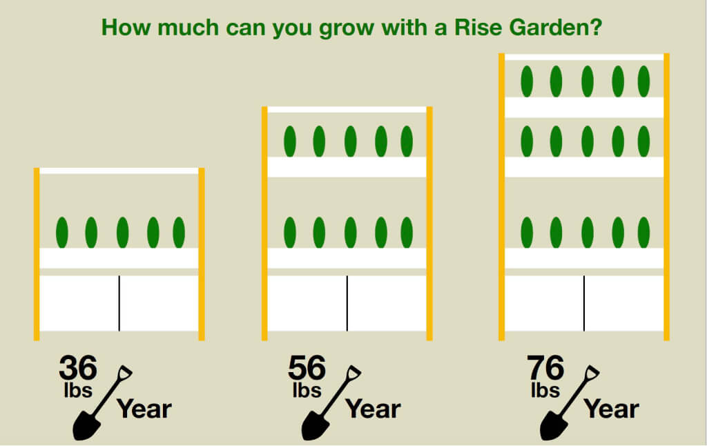 Rise Gardens