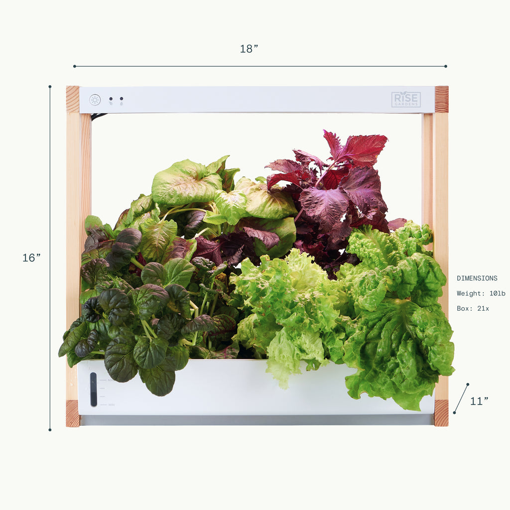 rise garden seeds Personal Indoor Garden