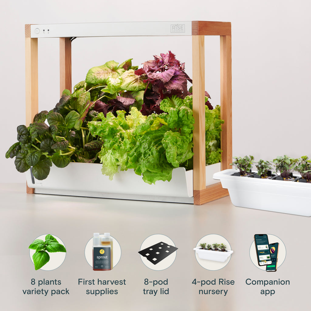 Personal Indoor Garden | Hydroponic Smart Garden Personal Indoor Garden | Hydroponic Smart Garden