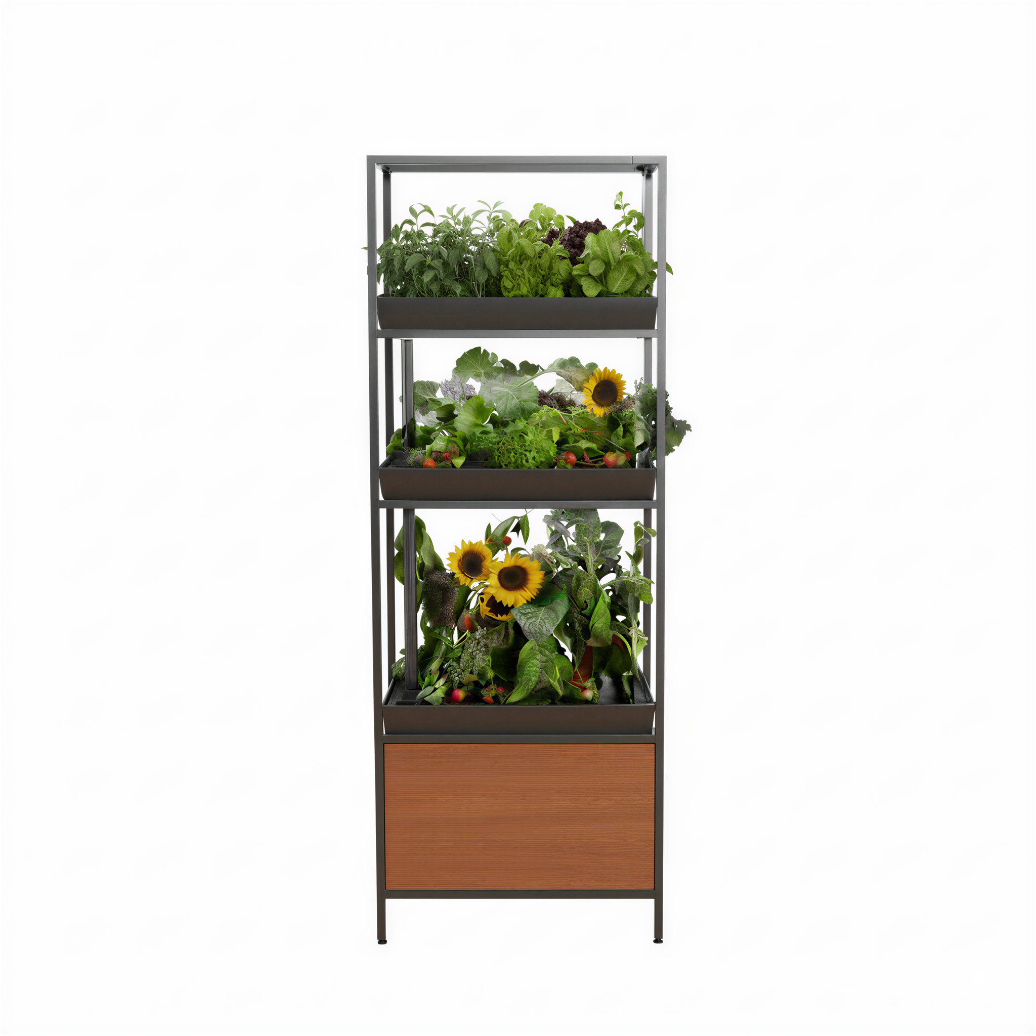 The Rise Loft - Thumbnail 5