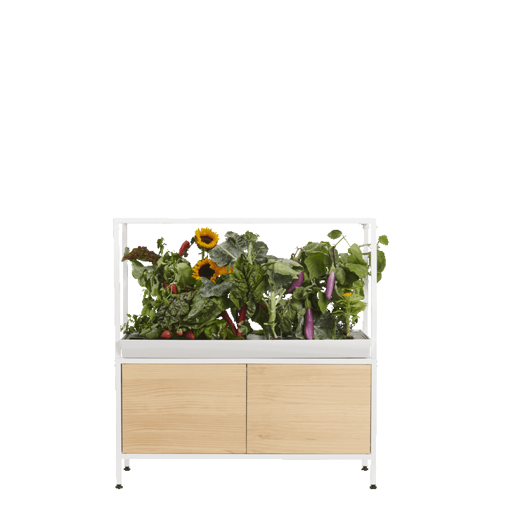 The Rise garden modular hydroponic system