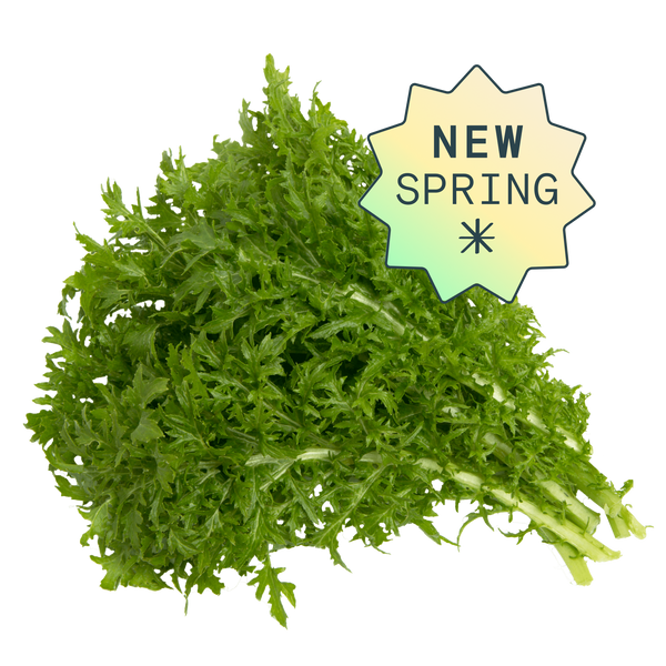 Wasabi Mustard seeds for Hydroponic Gardens Rise Gardens